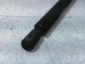 Tailgate/trunk strut/damper