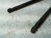 Tailgate/trunk strut/damper
