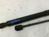 Tailgate/trunk strut/damper
