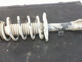 Front shock absorber with coil spring