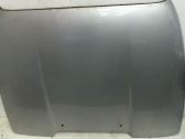 Engine bonnet/hood