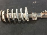 Front shock absorber with coil spring