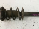 Front shock absorber with coil spring