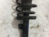 Front shock absorber with coil spring