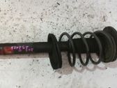 Front shock absorber with coil spring