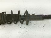 Front shock absorber with coil spring