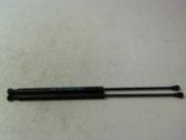 Front bonnet/hood damper/strut