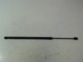 Front bonnet/hood damper/strut