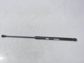 Front bonnet/hood damper/strut