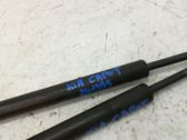 Front bonnet/hood damper/strut
