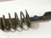 Front shock absorber with coil spring