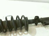 Front shock absorber with coil spring