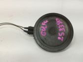Signal sonore
