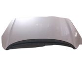 Engine bonnet/hood