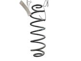 Rear coil spring
