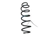 Rear coil spring