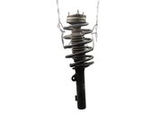 Front shock absorber/damper