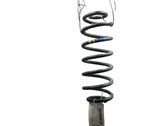 Muelle espiral trasero