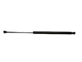 Tailgate/trunk strut/damper