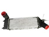 Intercooler radiator