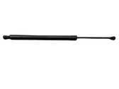 Tailgate/trunk strut/damper