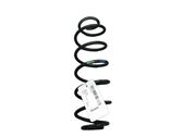 Rear coil spring