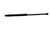 Tailgate/trunk strut/damper
