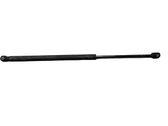 Tailgate/trunk strut/damper