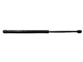 Tailgate/trunk strut/damper