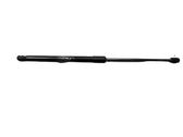 Tailgate/trunk strut/damper