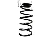 Rear coil spring