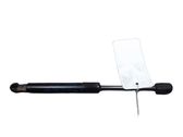 Front bonnet/hood damper/strut