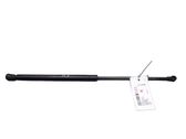 Tailgate/trunk strut/damper