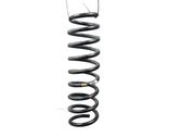Muelle espiral trasero