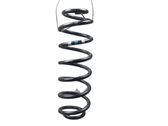Rear coil spring