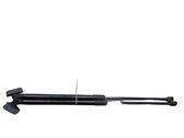 Tailgate/trunk strut/damper
