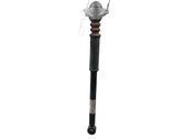 Rear shock absorber/damper