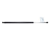 Tailgate/trunk strut/damper