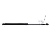 Tailgate/trunk strut/damper