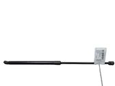 Tailgate/trunk strut/damper