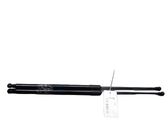 Front bonnet/hood damper/strut