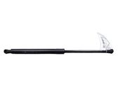 Tailgate/trunk strut/damper