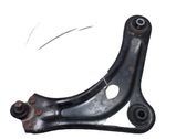 Front lower control arm/wishbone