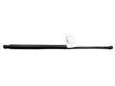 Tailgate/trunk strut/damper