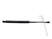 Tailgate/trunk strut/damper