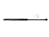 Tailgate/trunk strut/damper