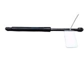 Tailgate/trunk strut/damper