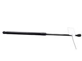 Tailgate/trunk strut/damper