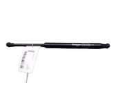 Tailgate/trunk strut/damper