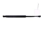 Tailgate/trunk strut/damper